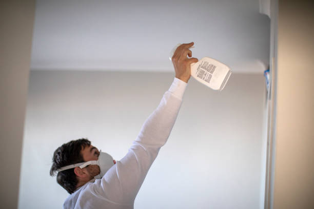 Best Mold Removal Specialists  in Stevensville, MT