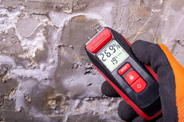 Best Crawl Space Mold Removal  in Stevensville, MT