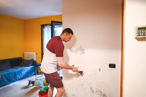 Best Mold Remediation  in Stevensville, MT